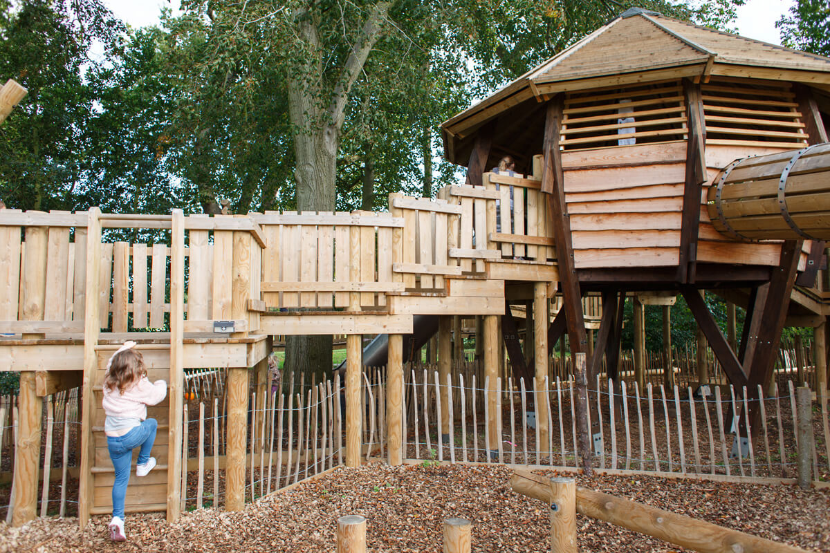 Challenge Woods at the Nest Norwich - with adventure play design and build by CAP.Co