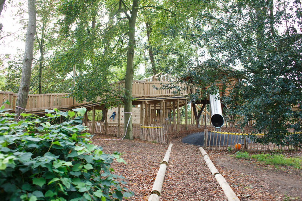 the-nest-norwich-csf-adventure-play-we-are-cap-co