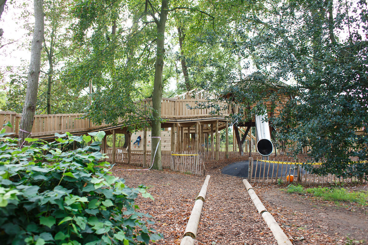 Challenge Woods at the Nest Norwich - with adventure play design and build by CAP.Co