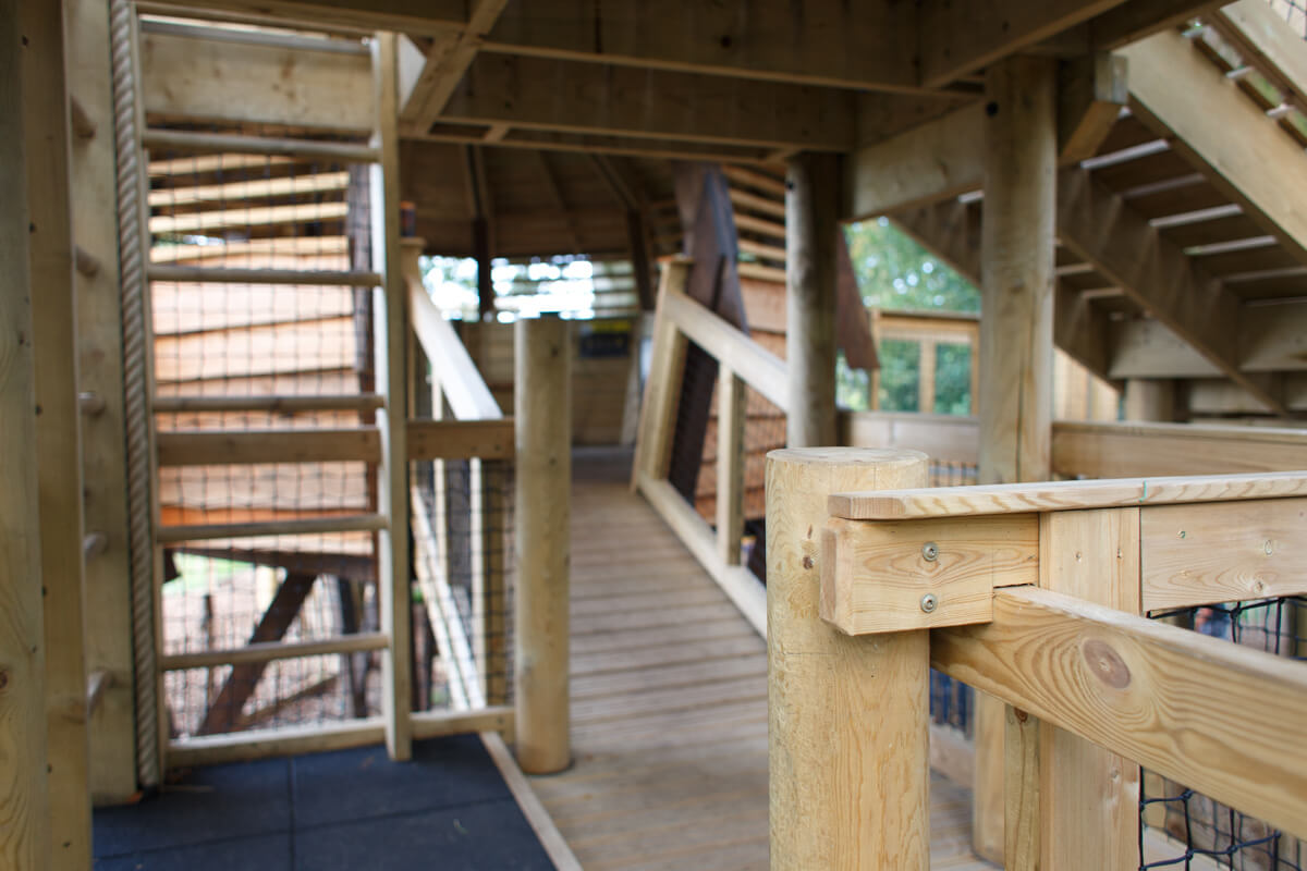 Challenge Woods at the Nest Norwich - with adventure play design and build by CAP.Co