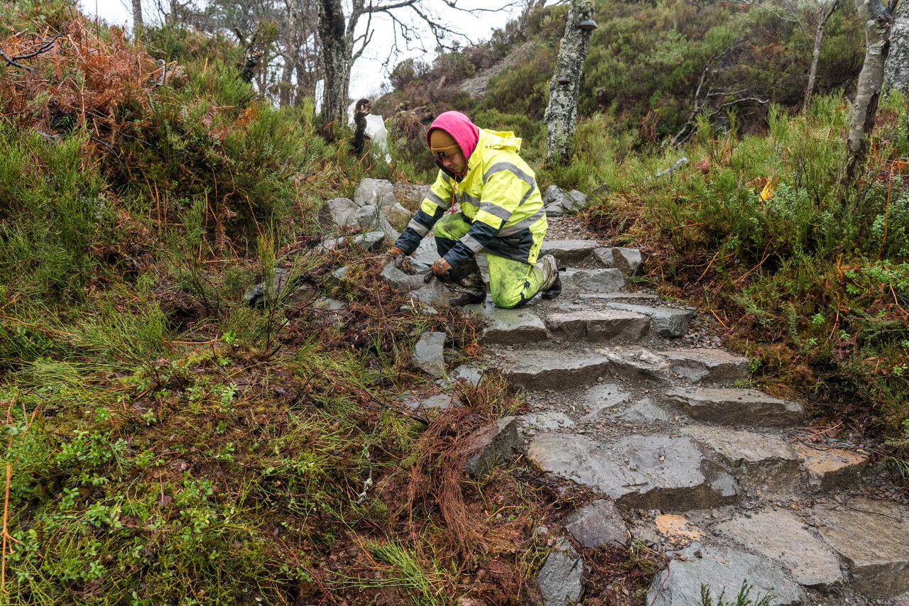 Path progress coming along well