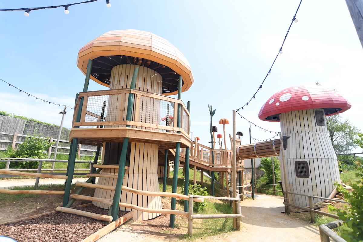 Close up of the mushrooms at Fairy Dell adventure play by CAP.Co at Fairytale Farm