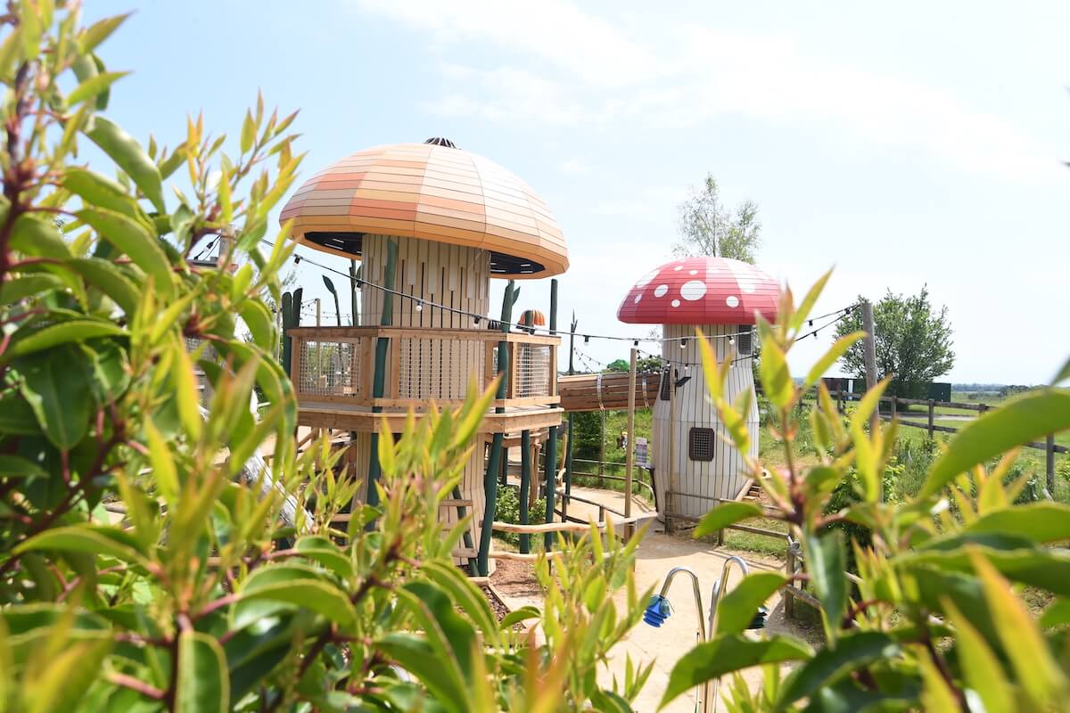 Greenery and mushrooms at Fairy Dell adventure play by CAP.Co at Fairytale Farm