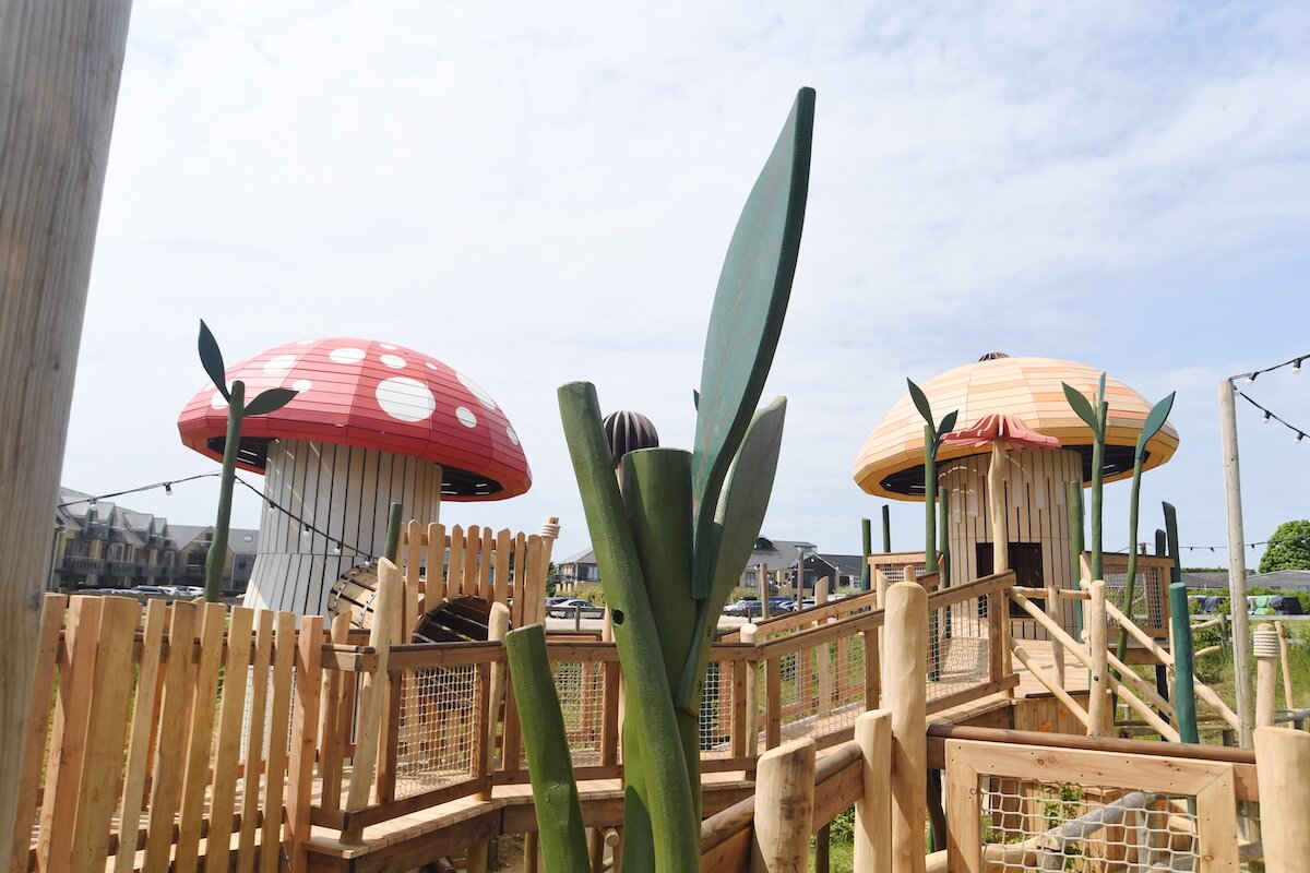 Mushrooms and greenery at Fairy Dell adventure play by CAP.Co at Fairytale Farm