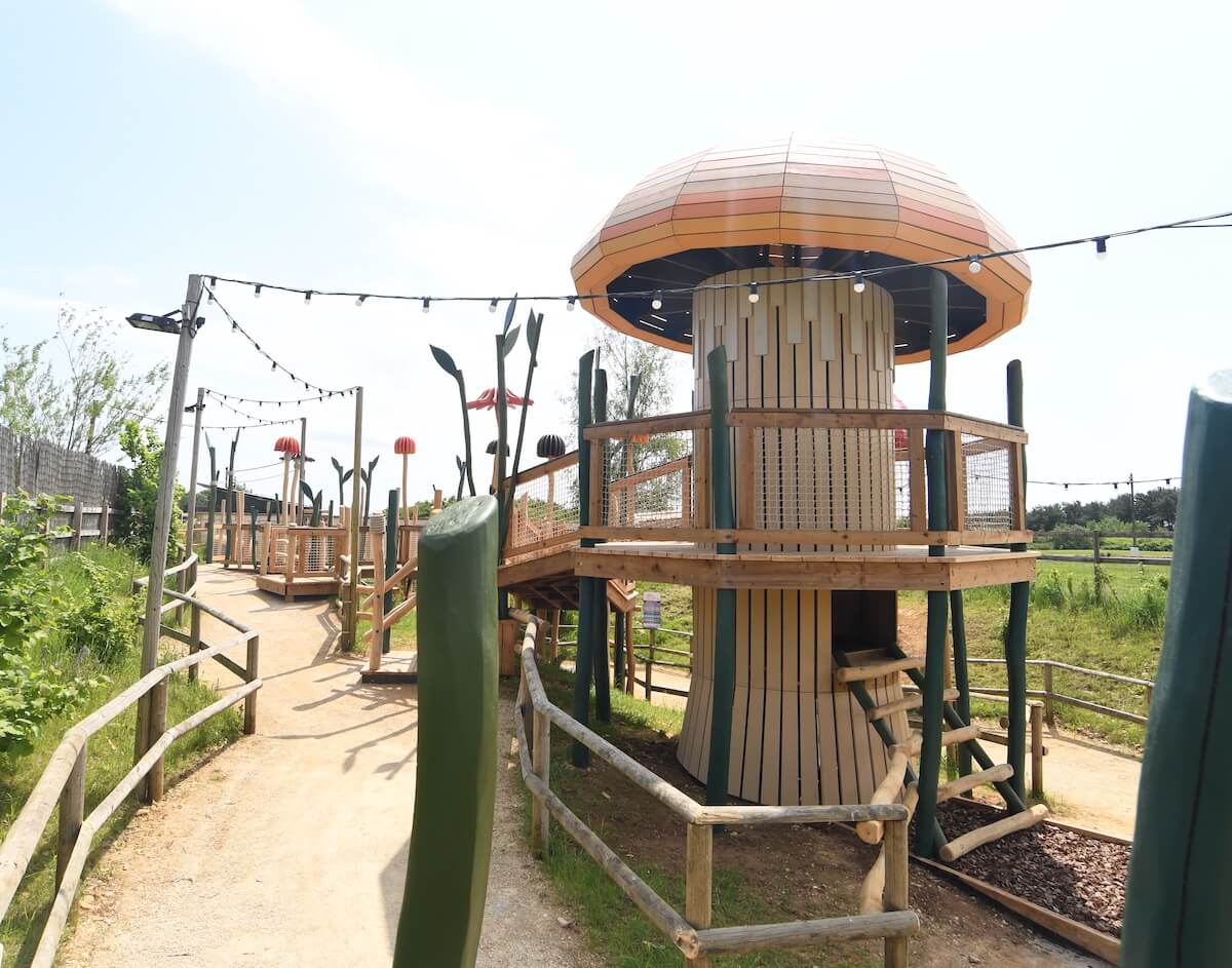walkway at ground level at Fairy Dell adventure play by CAP.Co at Fairytale Farm