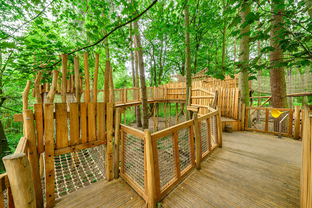 Climbing up into the Hermits Hollow at Coombe Country Park with Adventure play by CAP.Co