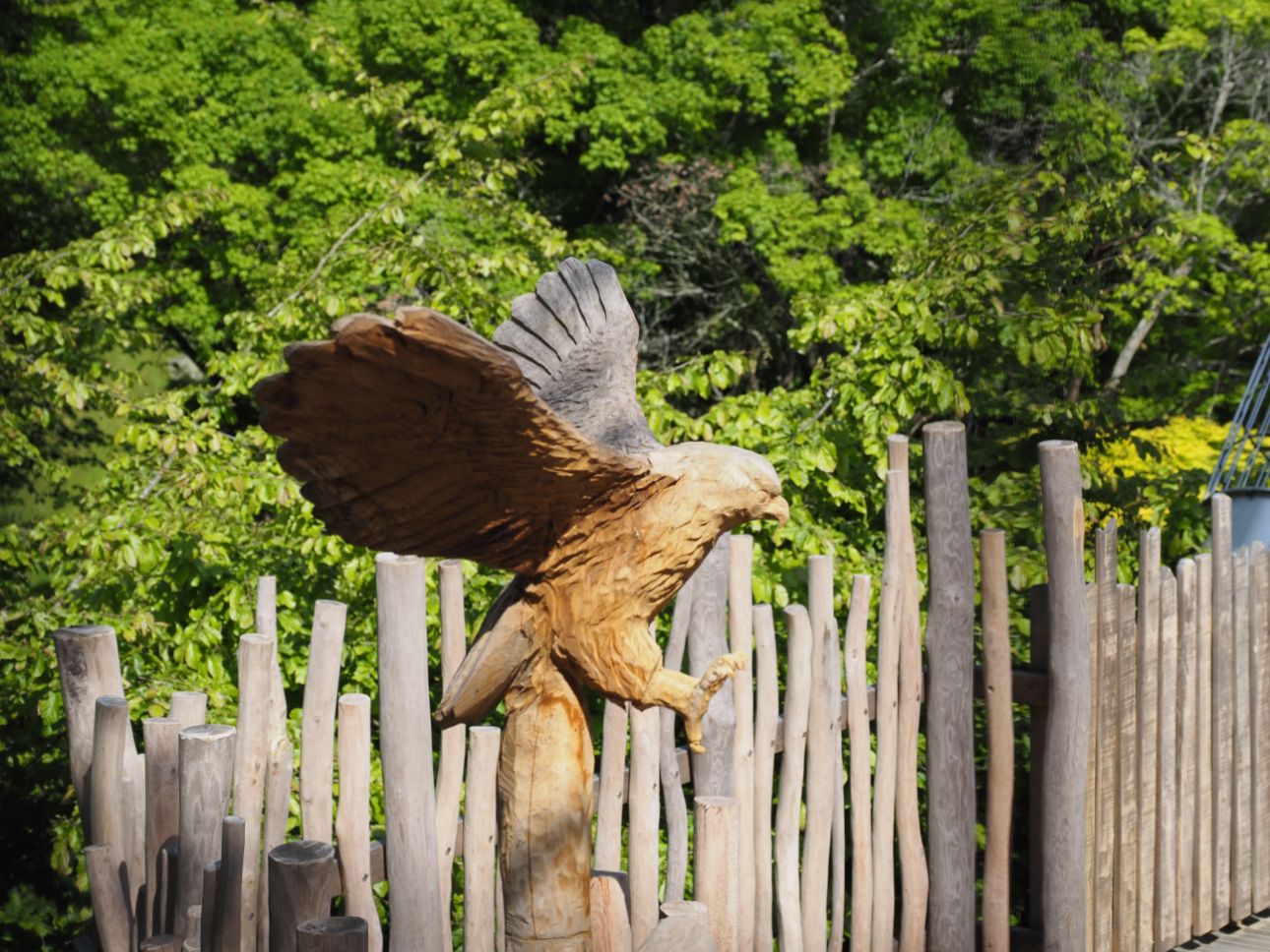 Eagle Carving at Windsor Great Park