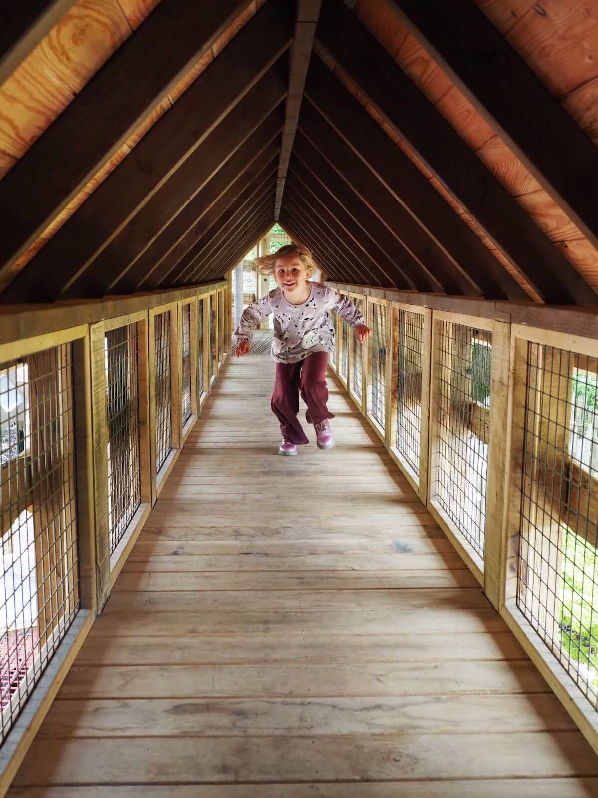 If you're small you can race through the tunnel inside Windsor Great Park Adventure Play