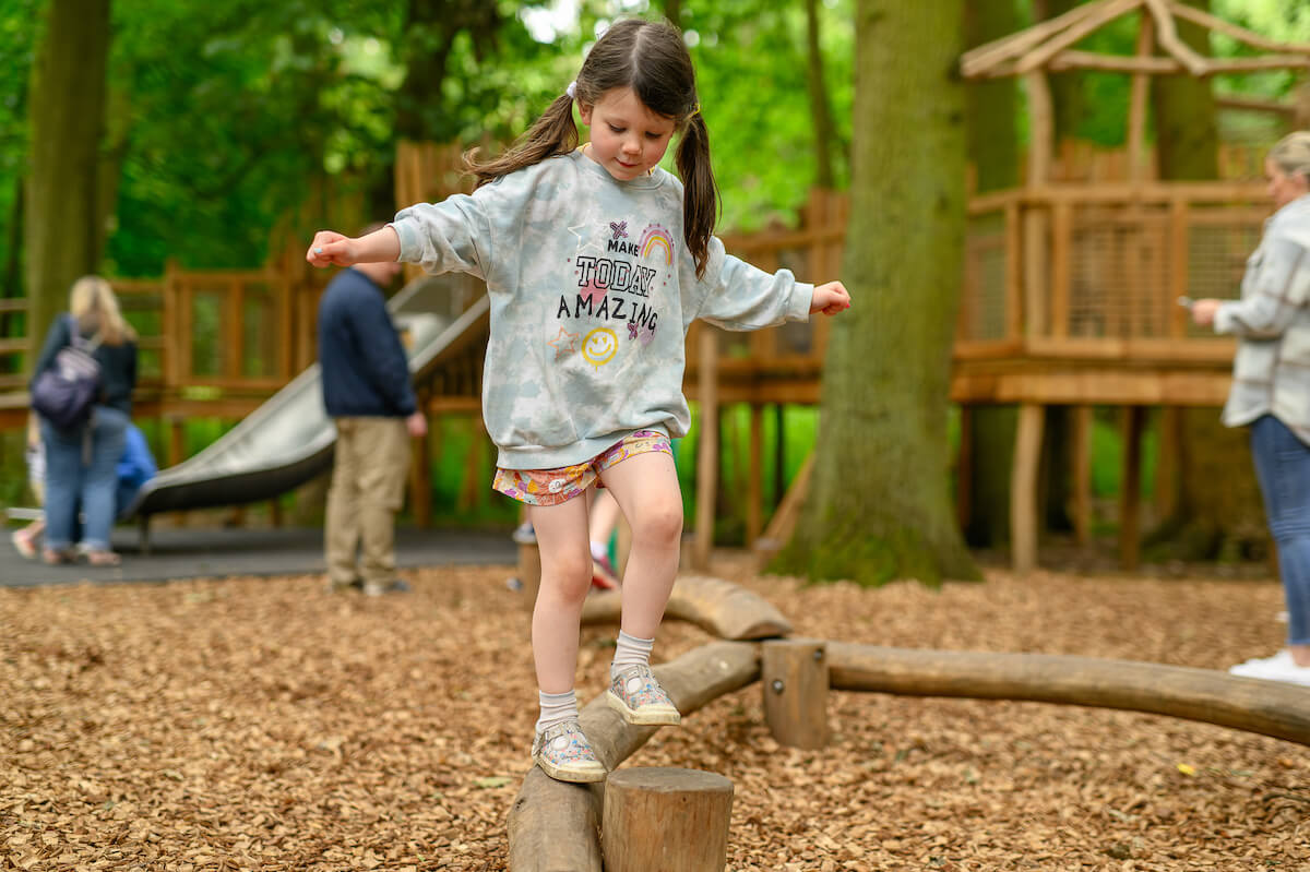 More low level play at Hermits Hollow at Coombe Country Park with Adventure play by CAP.Co