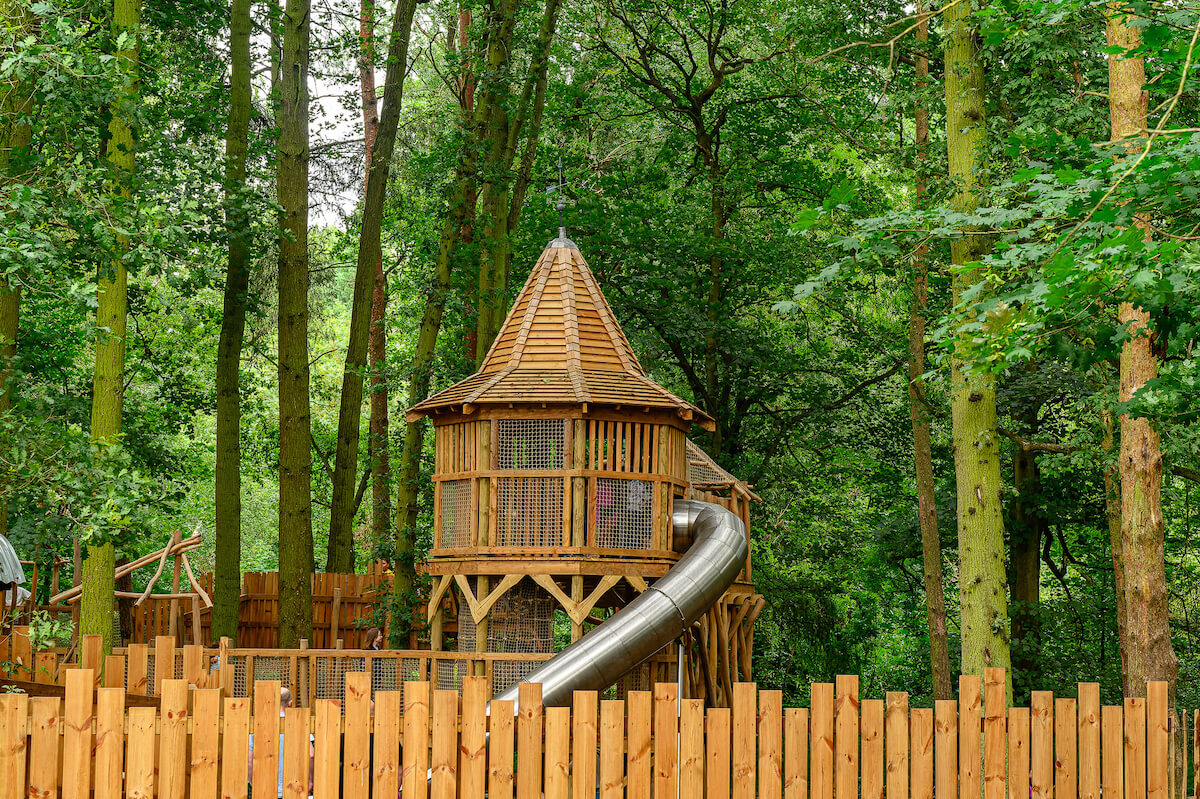 View into Hermits Hollow at Coombe Country Park with Adventure play by CAP.Co
