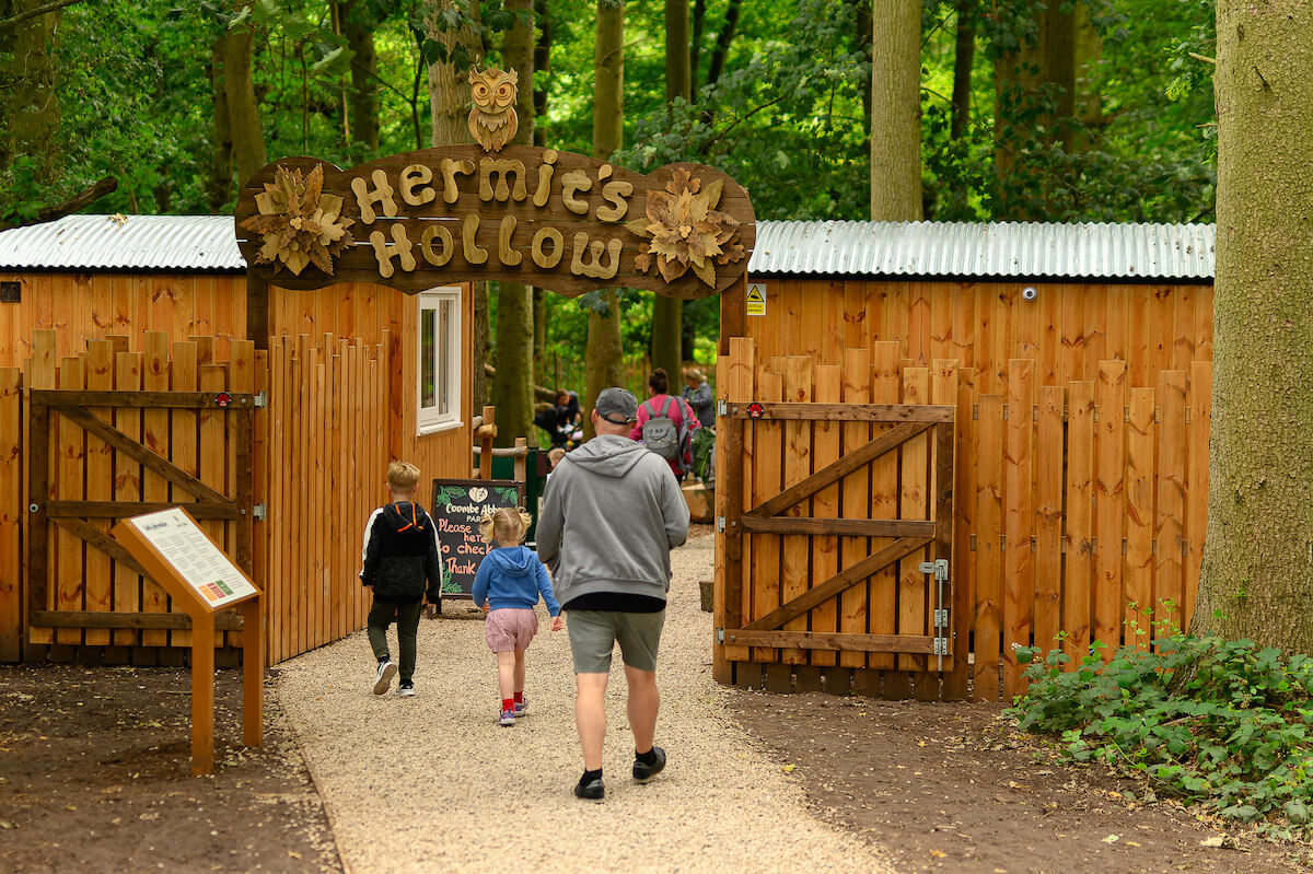 Walking into the Hermits Hollow at Coombe Country Park with Adventure play by CAP.Co