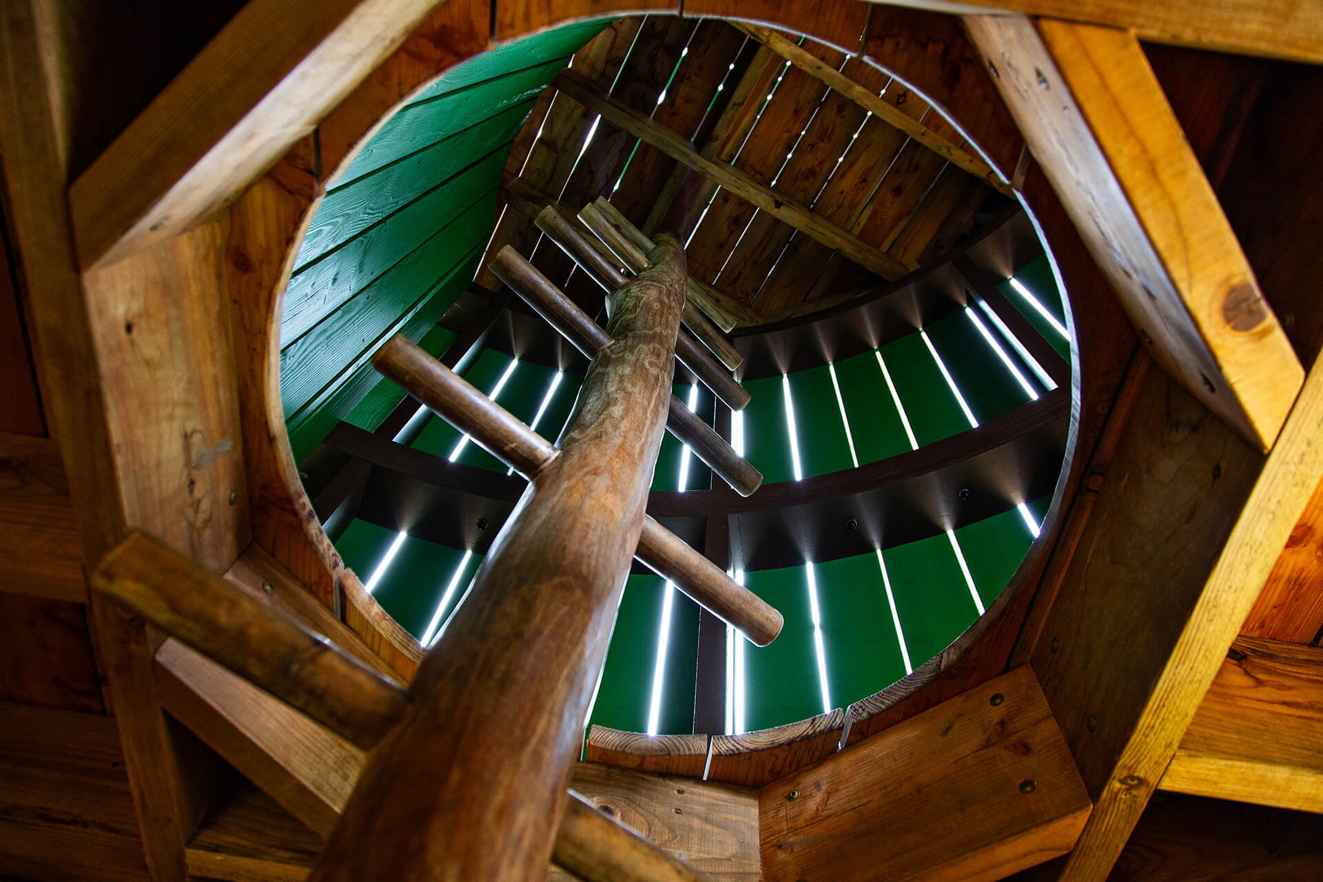 Internal shot of ladder built by CAPCO at Rand Farm Park