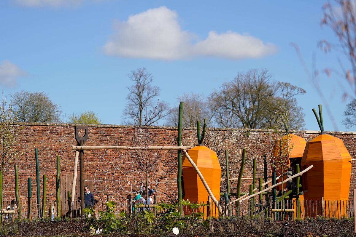 Carrots growing against the wall at The Lost Garden within Blenheim Palace Adventure Play by CAP.Co