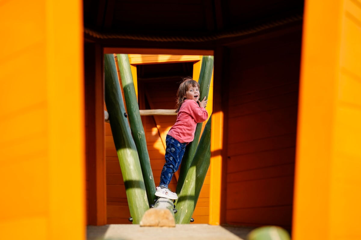 Looking through the carrots at The Lost Garden within Blenheim Palace Adventure Play by CAP.Co