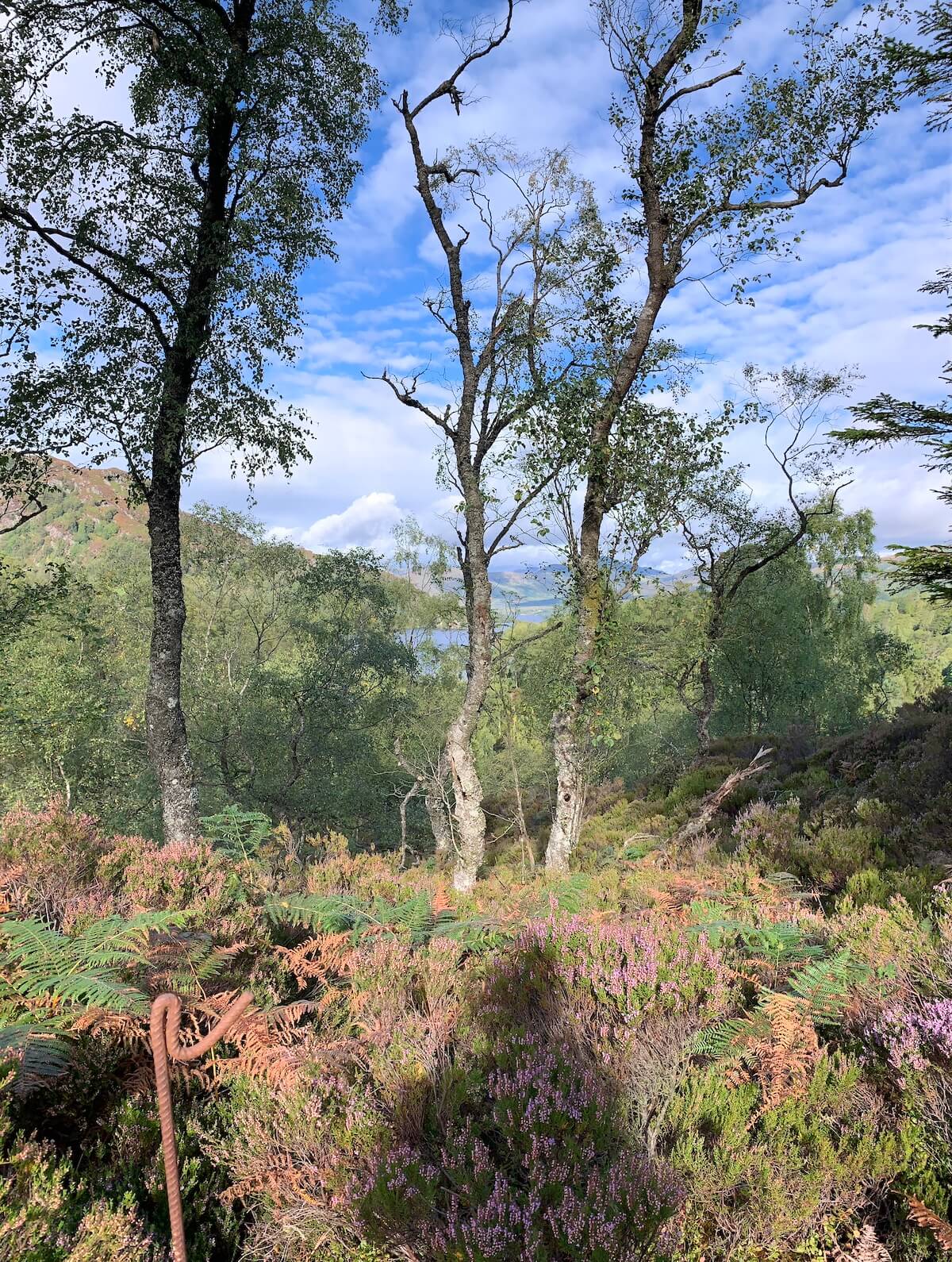 Roderick Dhu Watch Tower at Loch Katrine