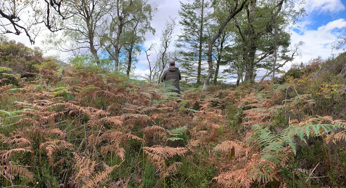 Roderick Dhu Watch Tower at Loch Katrine
