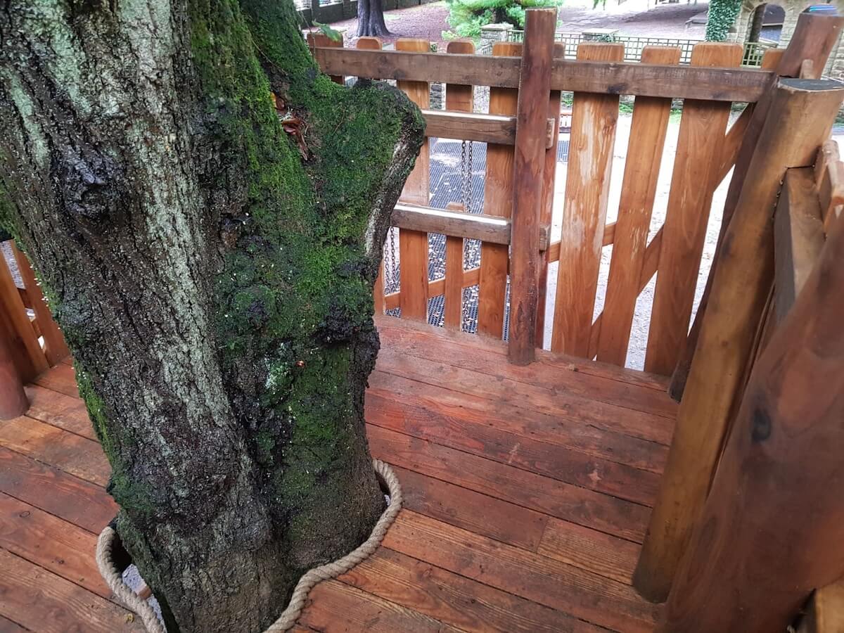 The tree detail at the adventure play for Schools inside Barrow Hills by CAP.Co