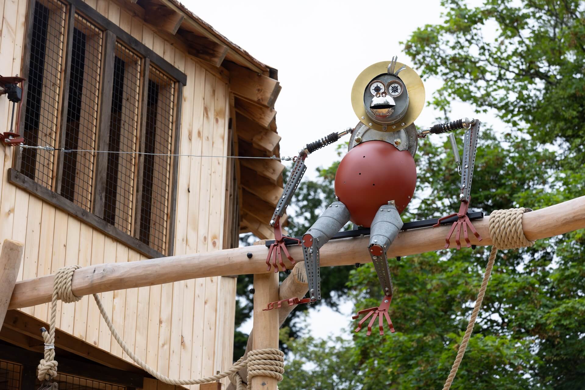 Who is that watching over you at Explorers Basecamp at Bristol Zoo Project designed and built by CAP.CO