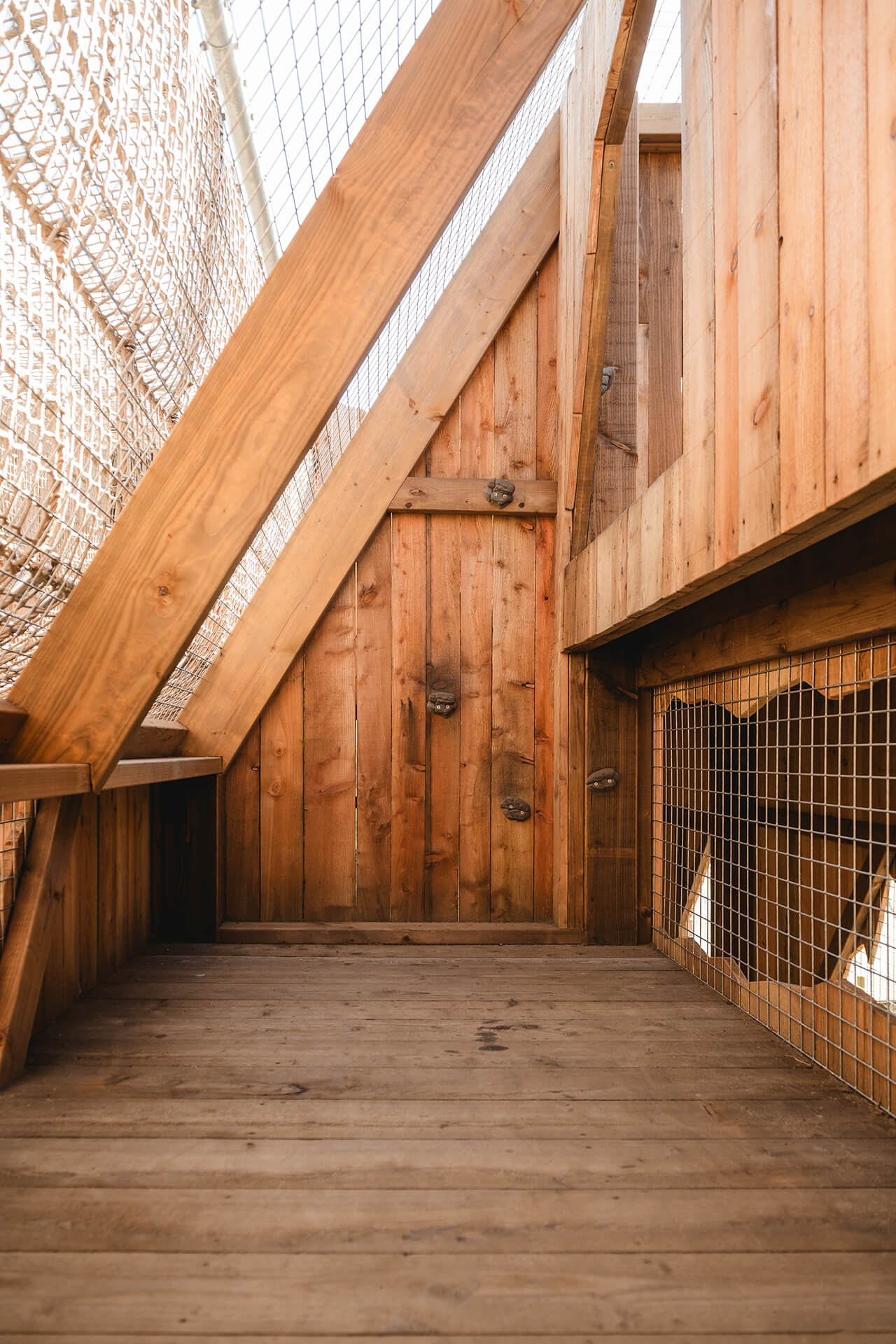 Internal image of climbing wall at the CAP.CO built adventure playground at Almond Valley photography by Lindsey Mack