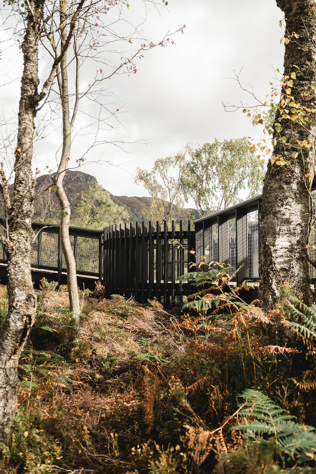 Look out platfrom on the CAPCO built Roderick Dhu lookout tower at Loch Katrine photography by Lindsey Mack