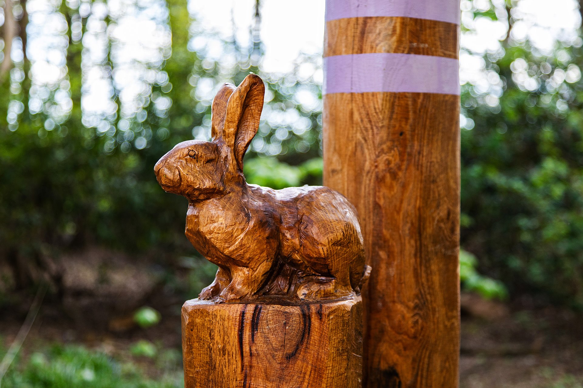 A hand carved Rabbit at the beginning of the Hoppers Hollow trail in the Woodland Adventures playground at The Belfry Hotel built and designed by CAP.CO photography by Kev Foster