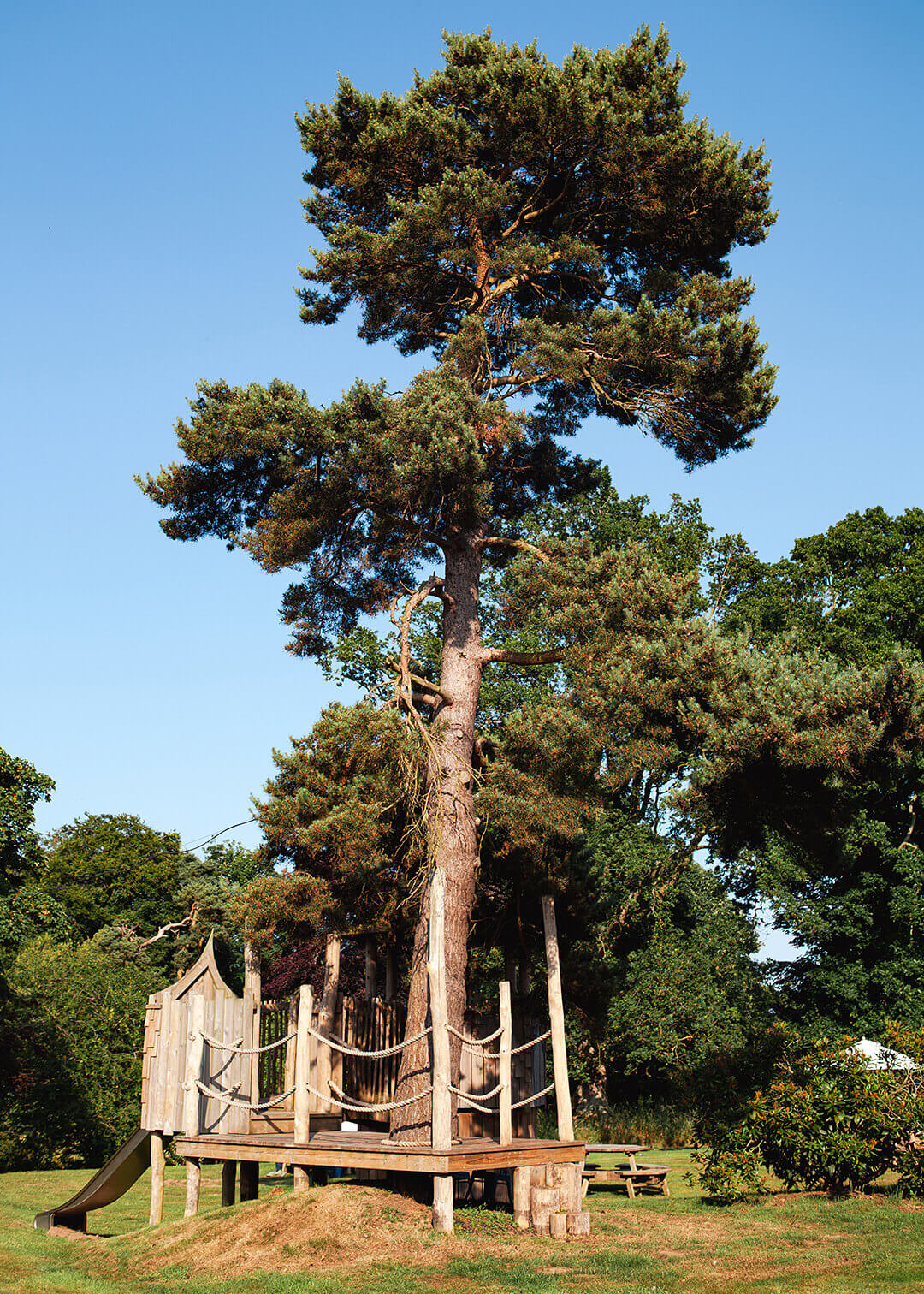 The platform was built around the old pine tree at Scarborough Hill Country Inn Hotel pine tower playground built and designed by CAPCO photography by George Browne