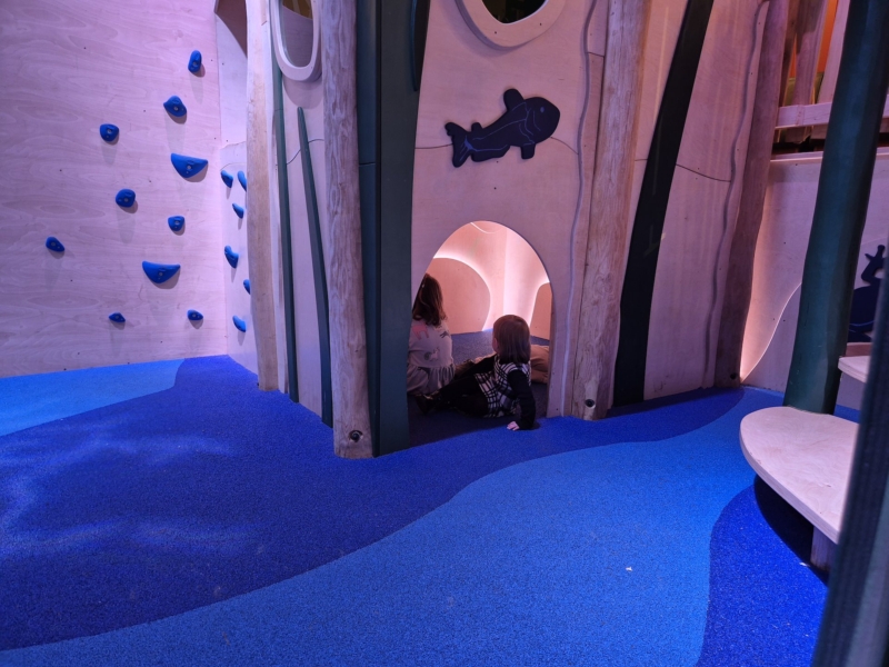 Center Parcs Sherwood Forest Dozing Duck Adventure Play by CAP.CO finished