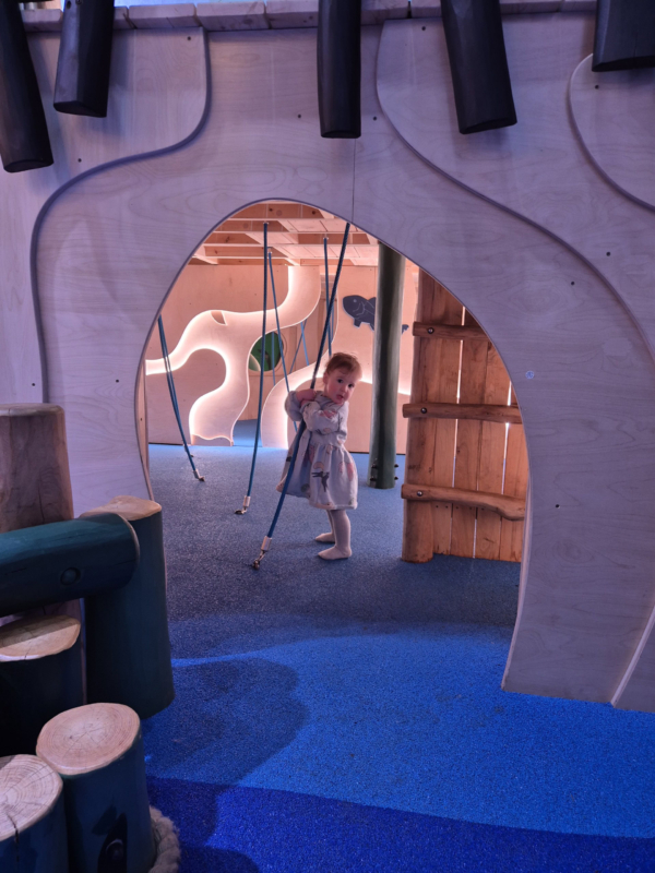 Center Parcs Sherwood Forest Dozing Duck Adventure Play by CAP.CO finished