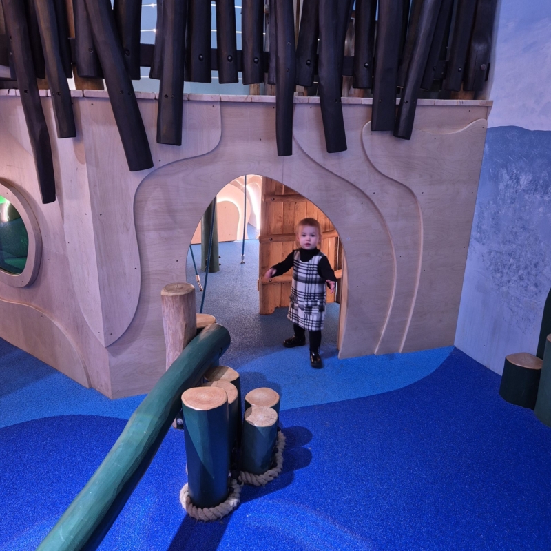 Center Parcs Sherwood Forest Dozing Duck Adventure Play by CAP.CO finished