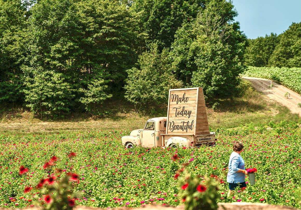 Lewis Adventure farm in Michigan