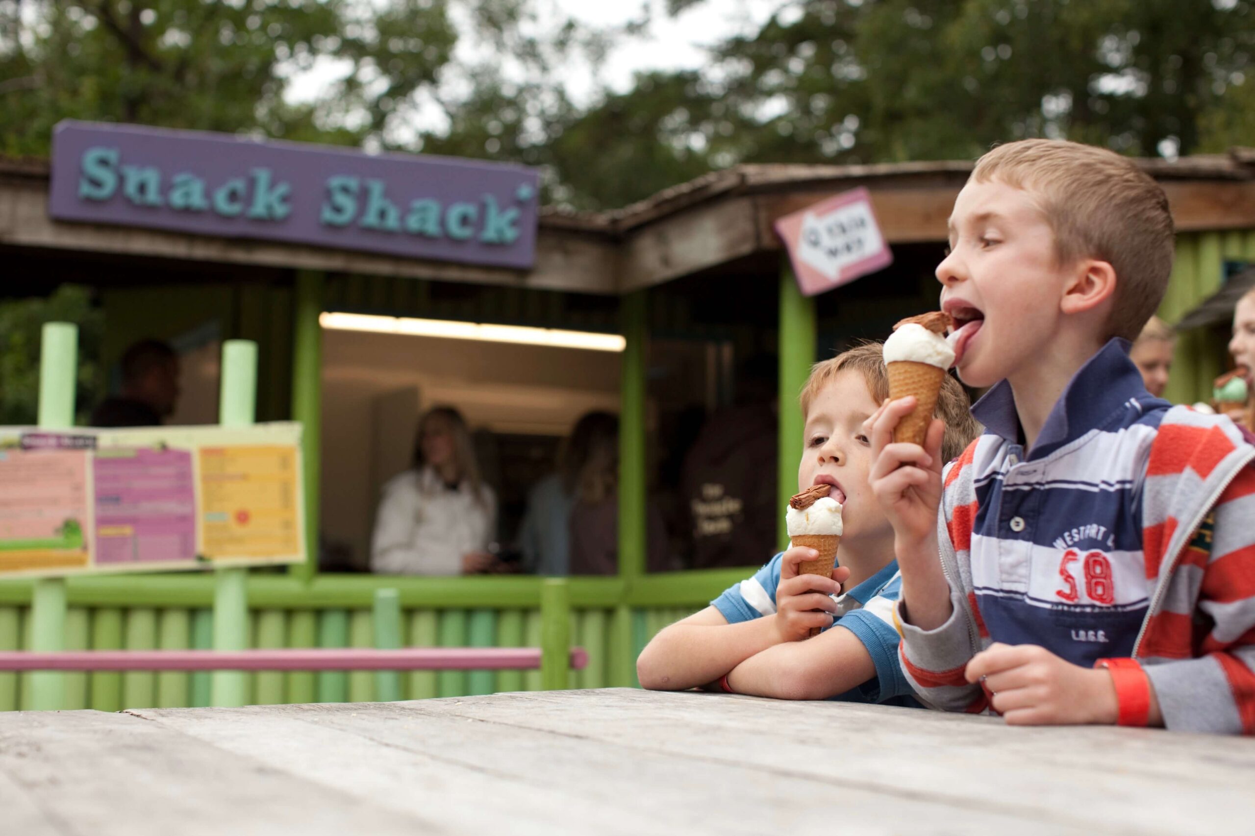 Ice Creams at BeWILDerwood Lead