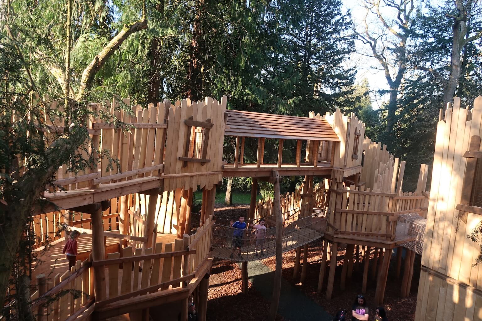 Henry and Molly Skymaze lead image - Created by CAP.CO