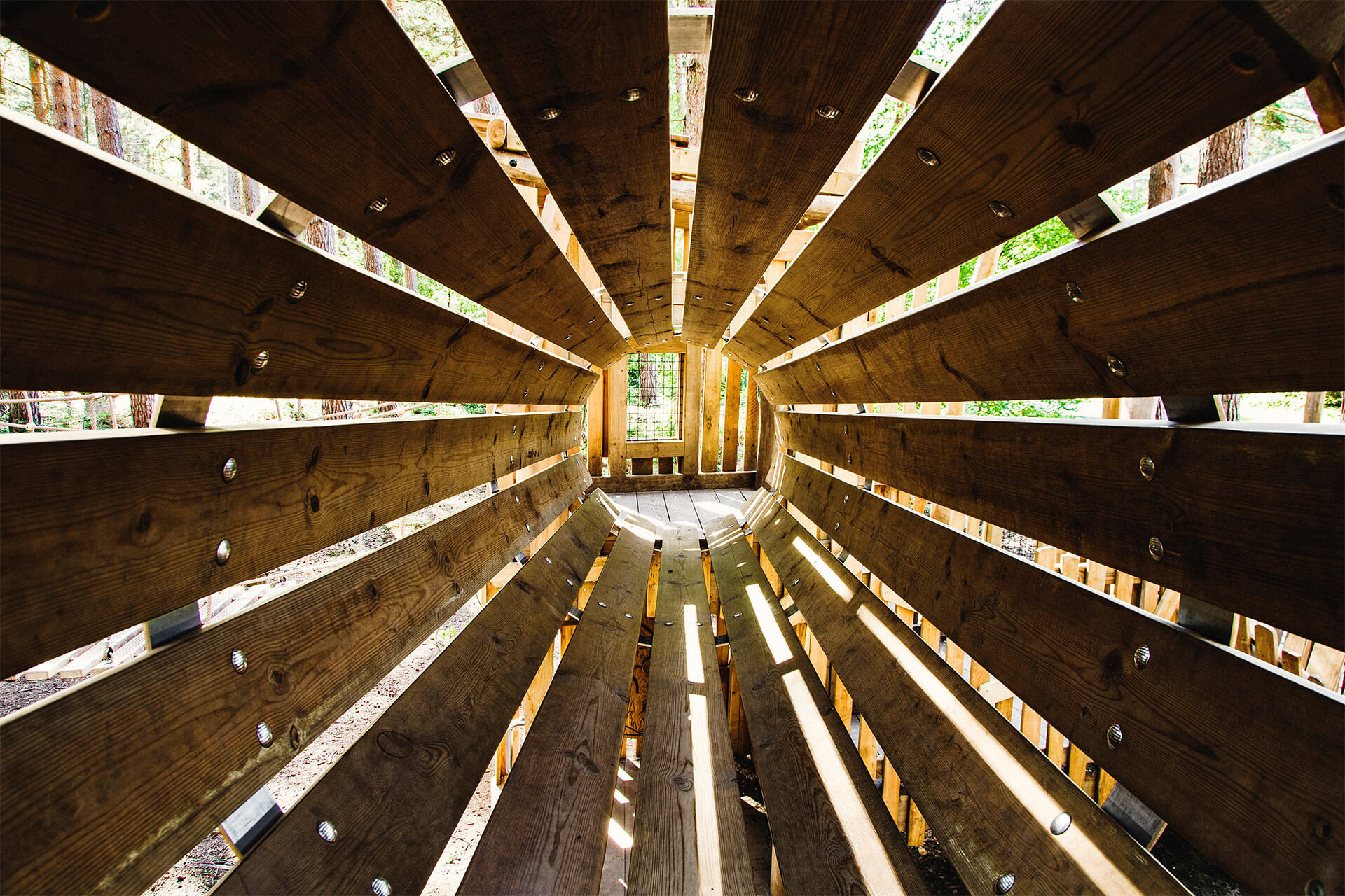 Forestry England Sherwood Pines timber playground adventure built by CAP.CO photography by Kev Foster