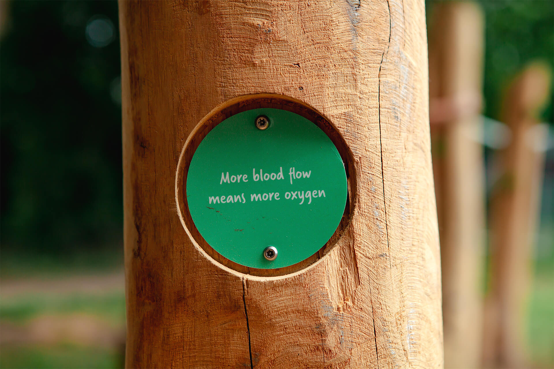 Children active on a CAP.CO designed primary school play trail in the UK