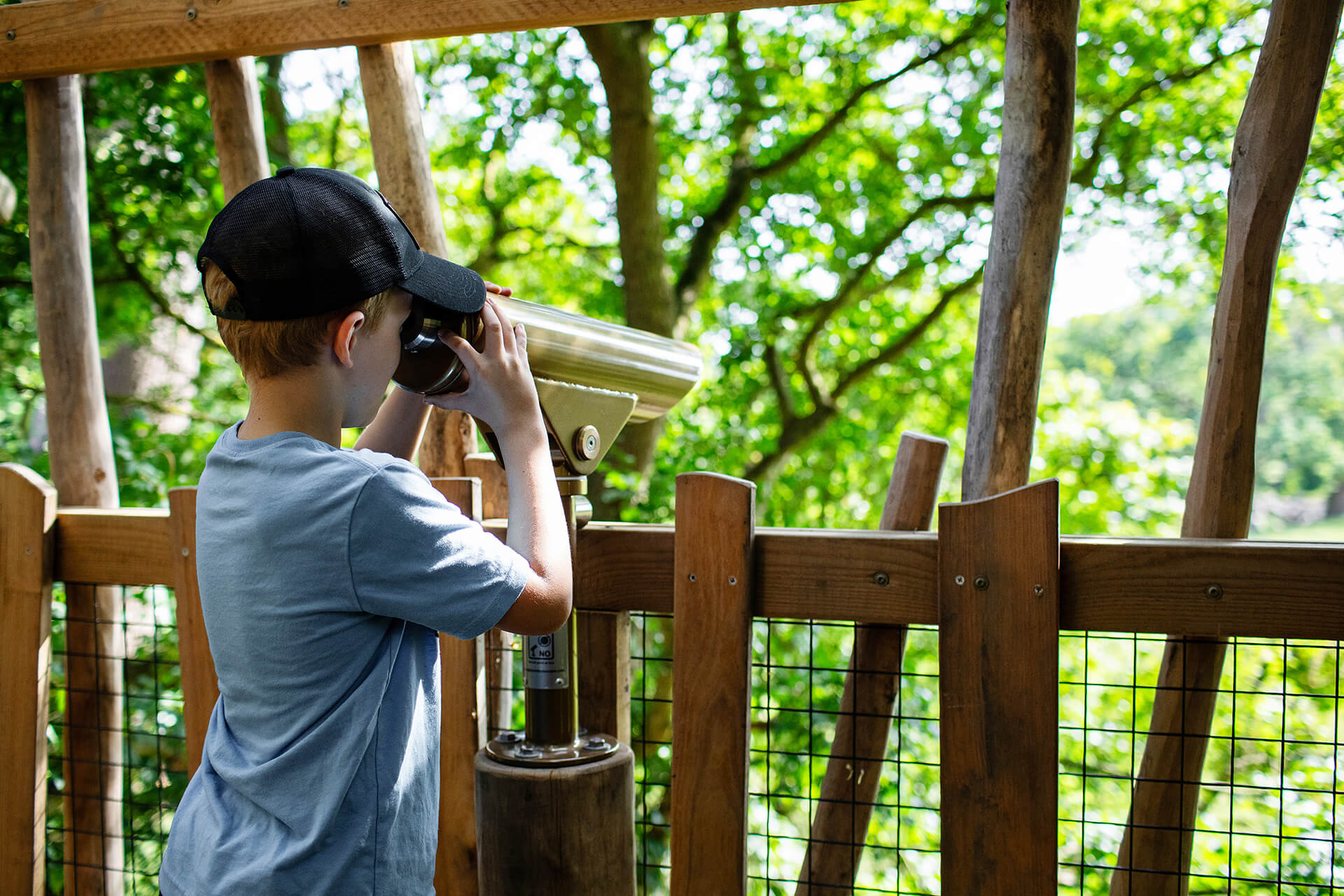 Wooden walkway leading to stargazing deck in Eira's Canopy Keep at Guildenacre by CAP.CO, photography by Kev Foster