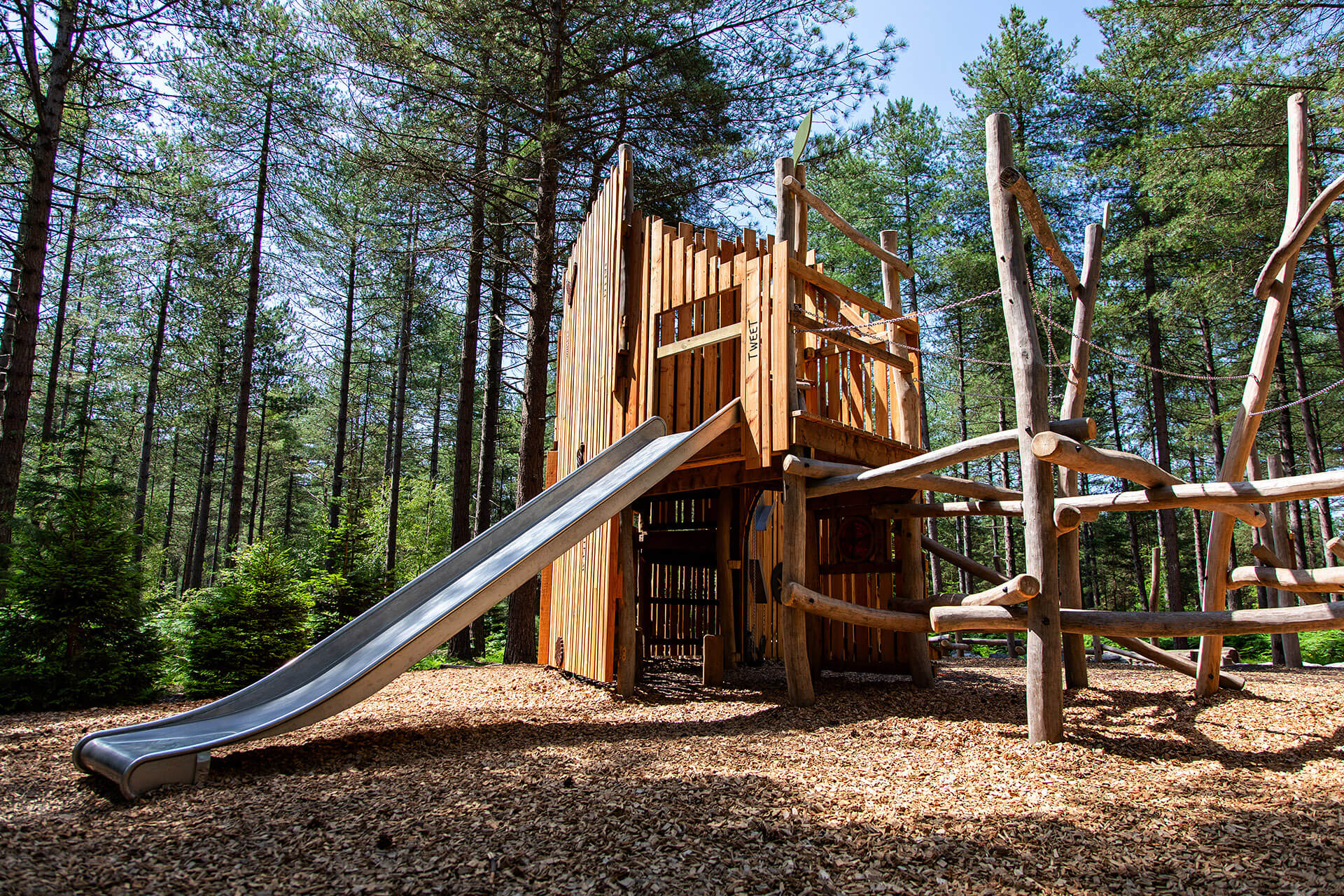 Bespoke Natural play structures built by CAP.CO and carefully integrated into the woodland at Woodland Rhapsody