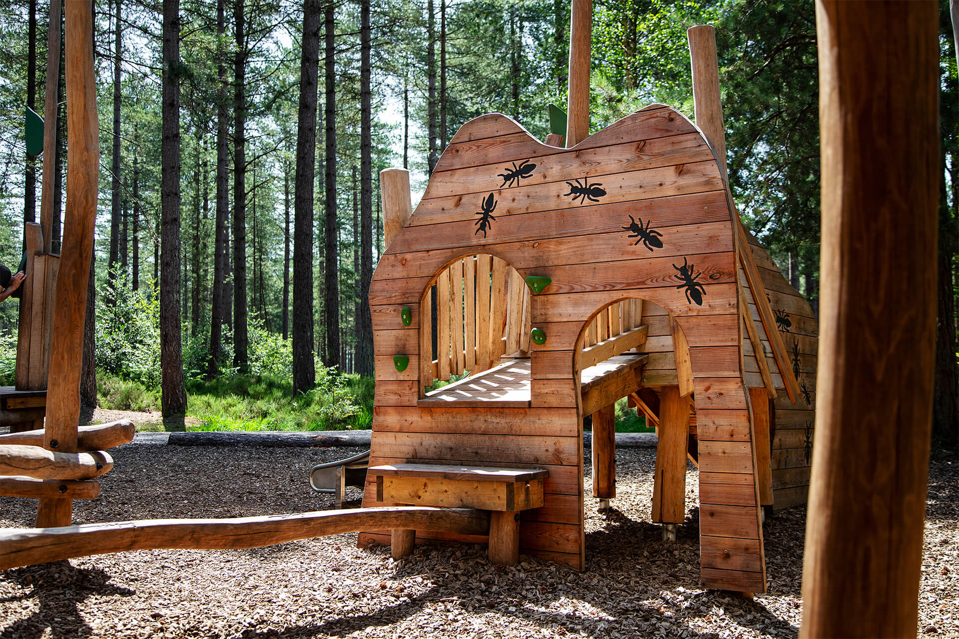 CAP.CO adventure play equipment integrated into the woodland landscape at Moors Valley