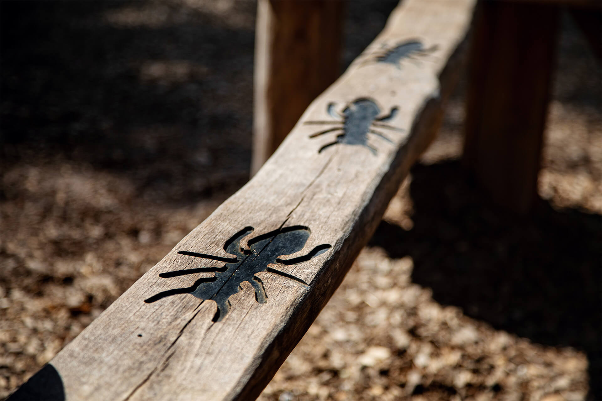 CAP.CO-designed Ants’ Nest adventure playground surrounded by woodland at Moors Valley, Forestry England.