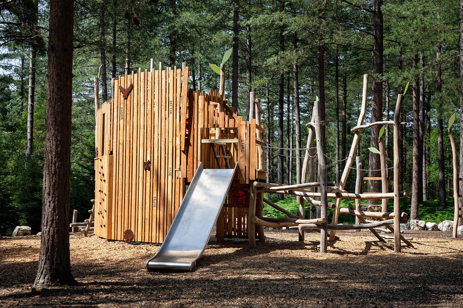 CAP.CO natural timber play structures surrounded by trees at Woodland Rhapsody, Moors Valley