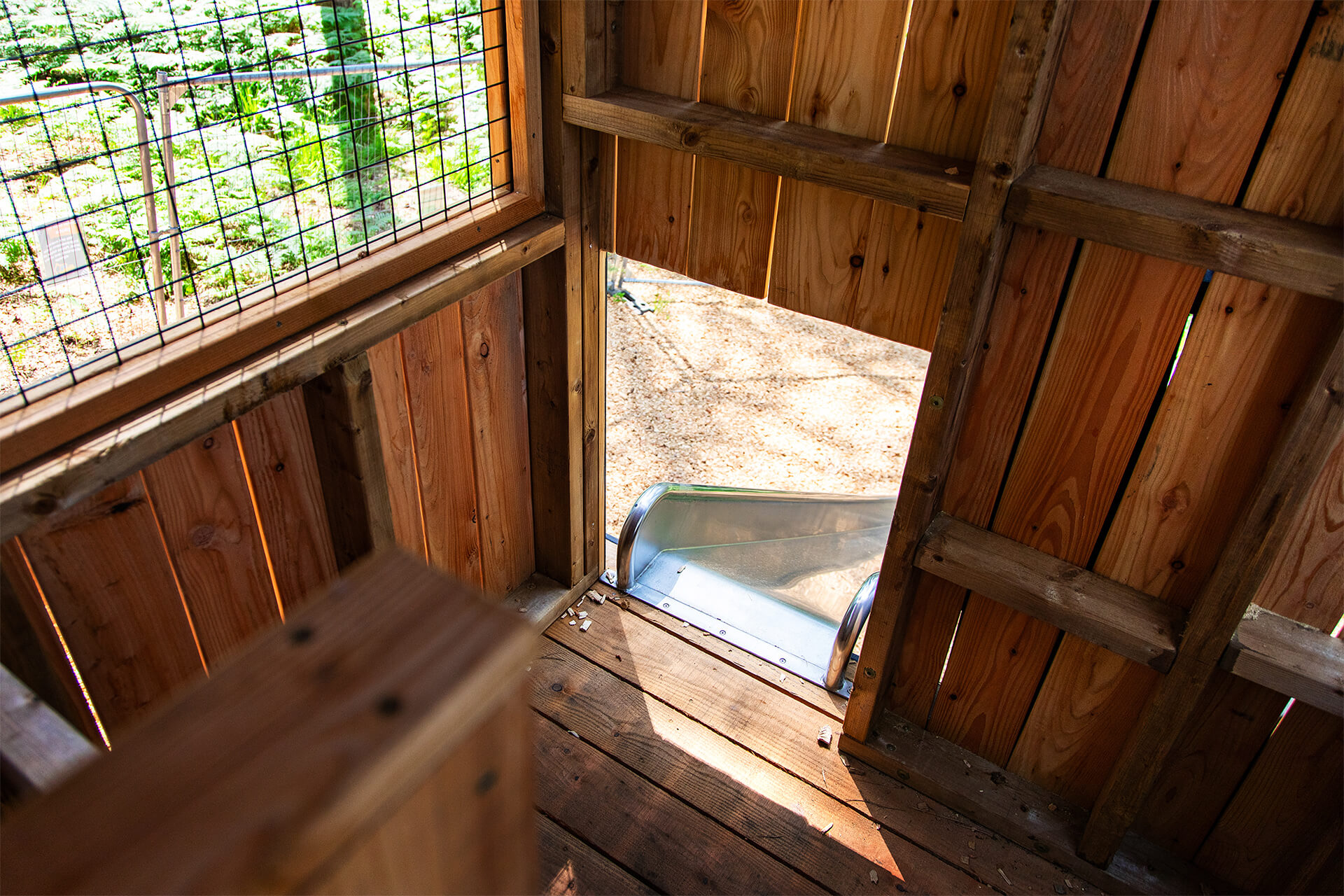CAP.CO’s Timber! playground featuring natural timber platforms and woodland adventure routes at Moors Valley