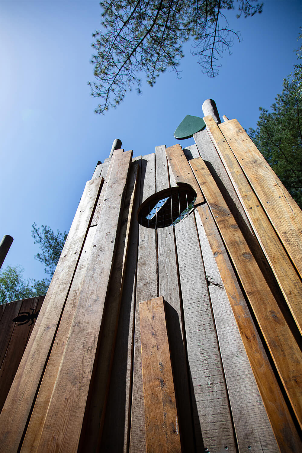 CAP.CO’s natural woodland adventure play installation at Moors Valley, Forestry England