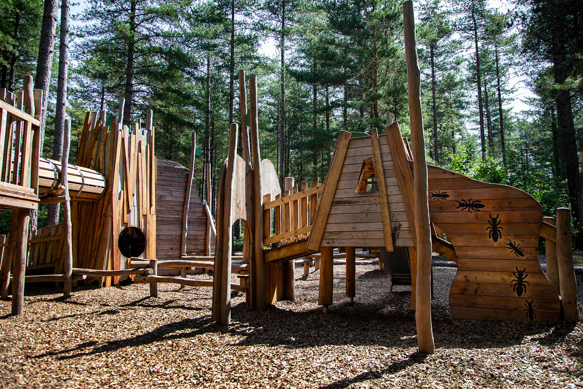 Natural wooden climbing structures designed and built by CAP.CO at Ants’ Nest, Moors Valley