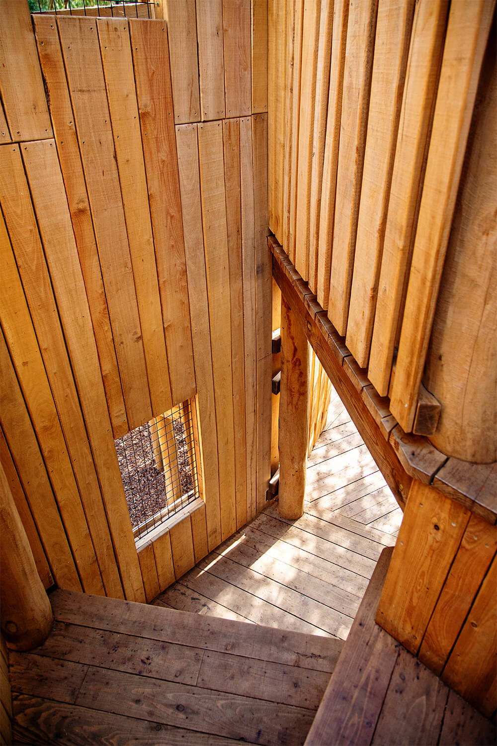 Stairs leading to discovery at The Sky Maze adventure playground at Cotswold Wildlife Park, designed and built by CAP.CO, photography by Kev Foster