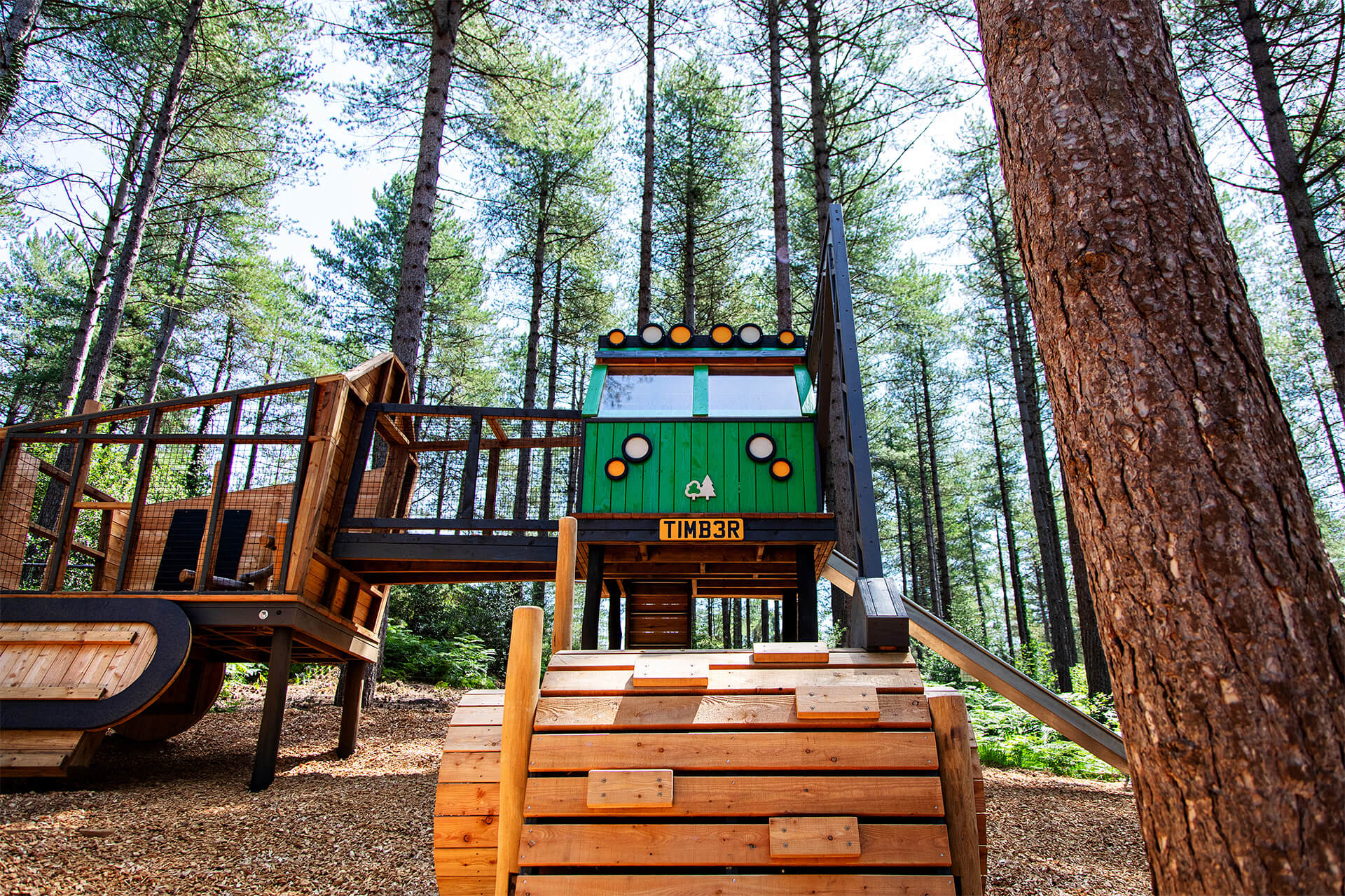 Wide view of CAP.CO’s Timber! adventure playground integrated into the Moors Valley forest
