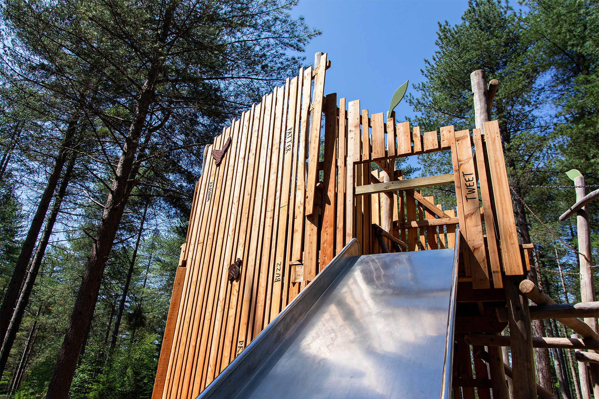 Wide view of CAP.CO’s Woodland Rhapsody adventure playground integrated into the forest landscape